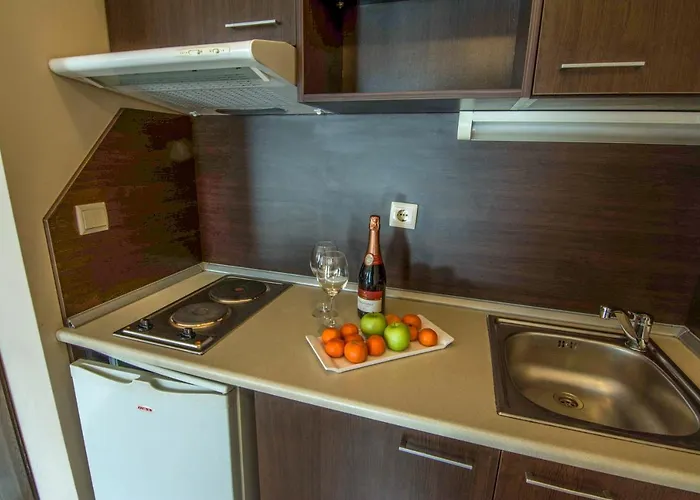 Ξενοδοχείο με διαμερίσματα Banderitsa With Kitchen Μπάνσκο